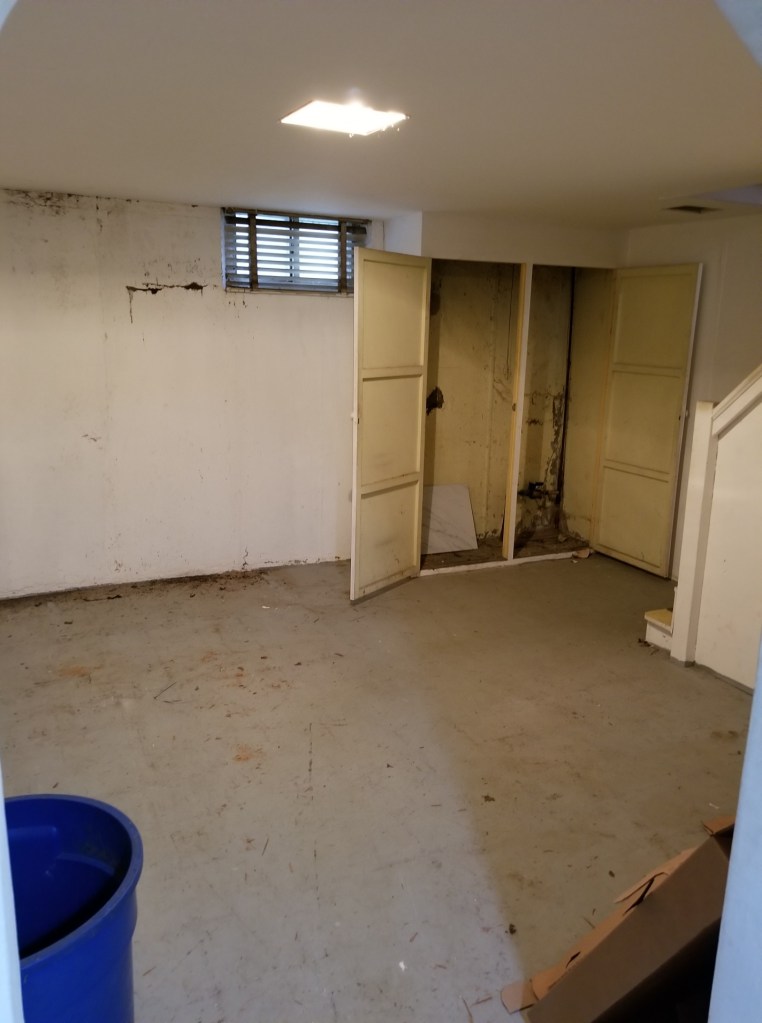 Basement from laundry room door